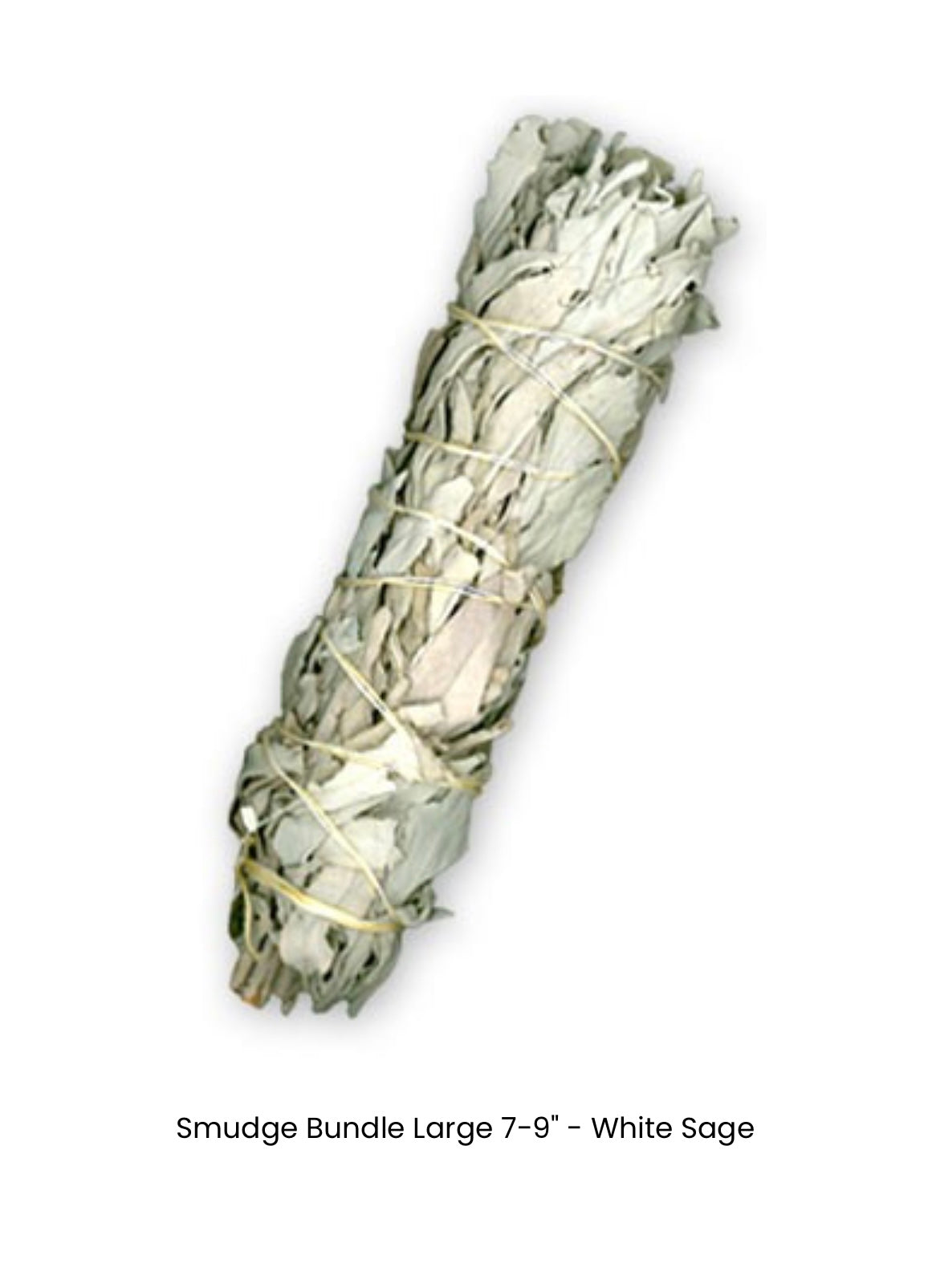 White Sage 6" Bundle (wand)